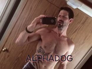 ALPHADOG