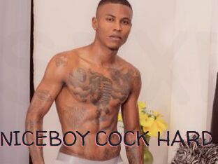 ARON_NICEBOY_COCK_HARD