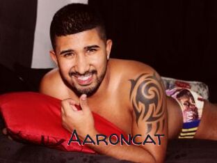 Aaroncat