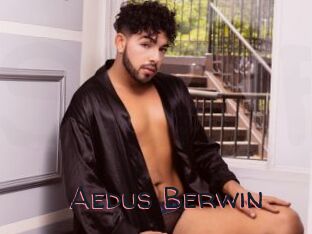 Aedus_Berwin