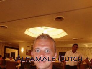 Alfamale_Dutch