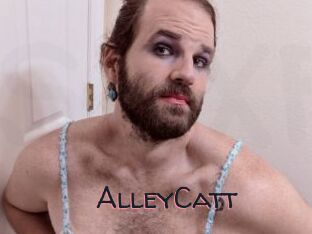 AlleyCatt