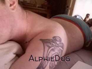 Alphie_Dog