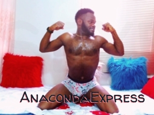 AnacondaExpress