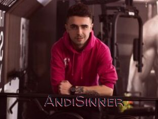 AndiSinner