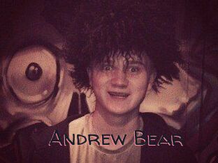 Andrew_Bear