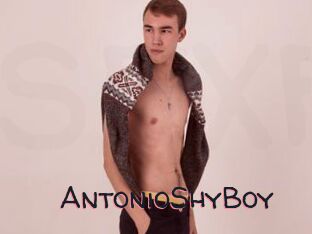 AntonioShyBoy