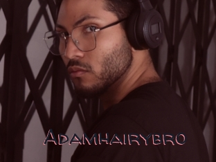 Adamhairybro