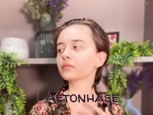 Aftonhase