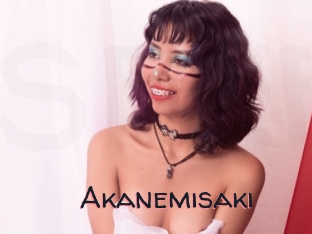 Akanemisaki