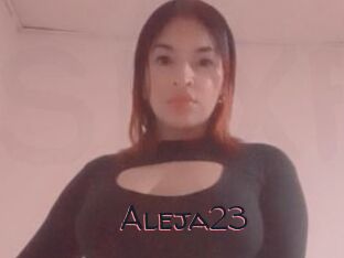 Aleja23