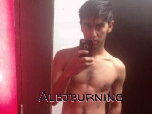 Alejburning