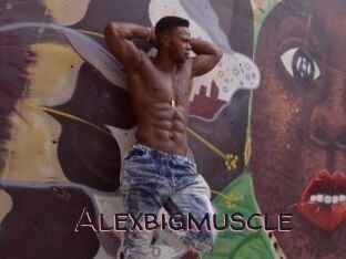 Alexbigmuscle