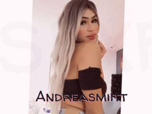 Andreasmiitt