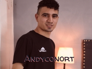 Andyconort