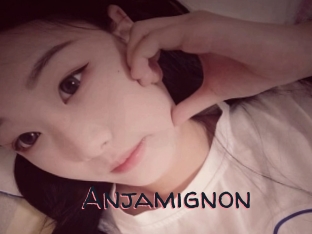 Anjamignon