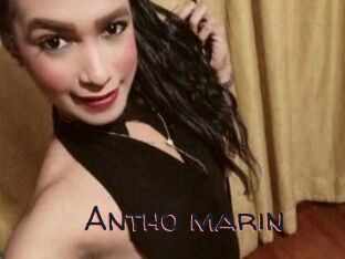 Antho_marin