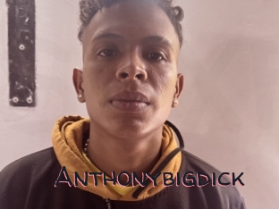 Anthonybigdick