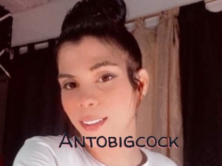 Antobigcock