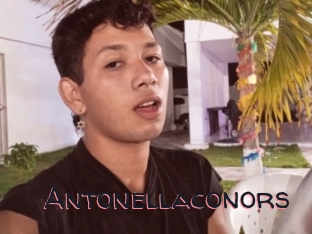 Antonellaconors