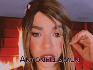 Antonellamun