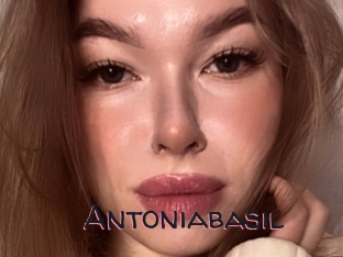 Antoniabasil