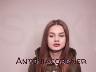 Antoniacordner