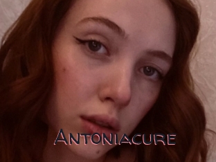 Antoniacure