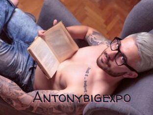 Antonybigexpo