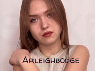 Arleighbodge