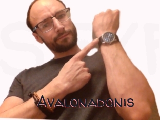 Avalonadonis