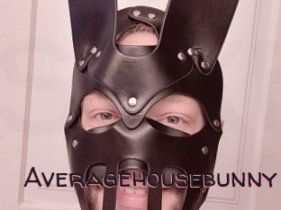 Averagehousebunny