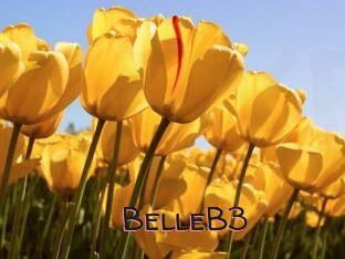 BelleB3