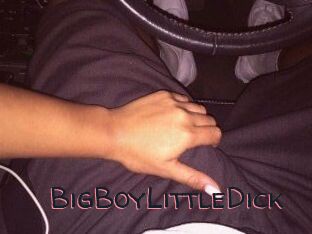 BigBoyLittleDick