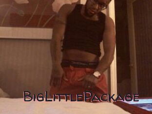 BigLittlePackage