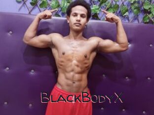 BlackBodyX