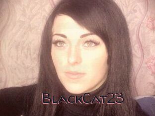 BlackCat23