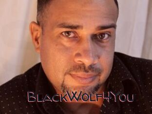 BlackWolf4You