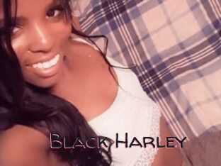 Black_Harley