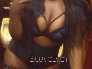 Bluvelvet