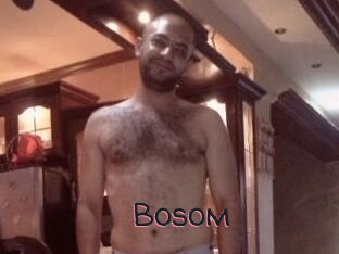 Bosom