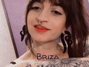 Briza