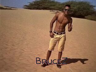 BruceZ