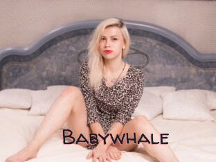 Babywhale