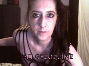 Belgecoquine