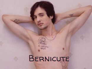 Bernicute