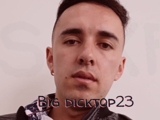 Big_dicktop23