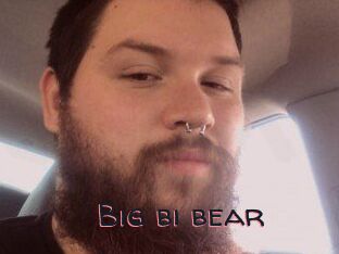 Big_bi_bear