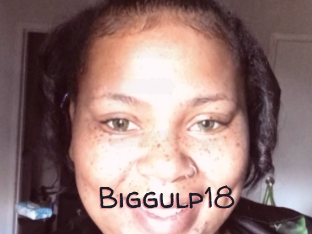 Biggulp18