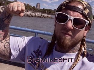 Bigmikesfit